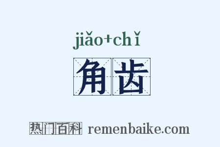 角齿是什么意思的图片